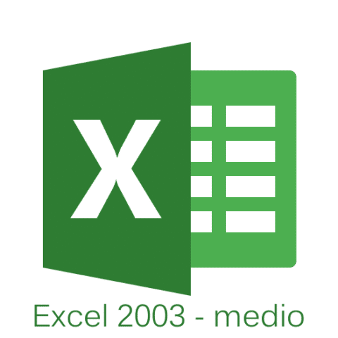 Curso de Excel 2003 medio