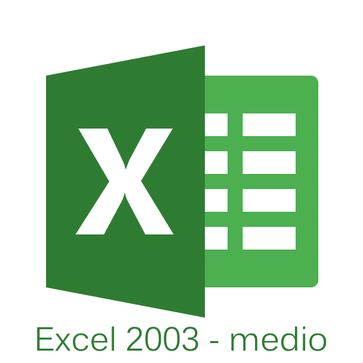 Curso de Excel 2003 medio
