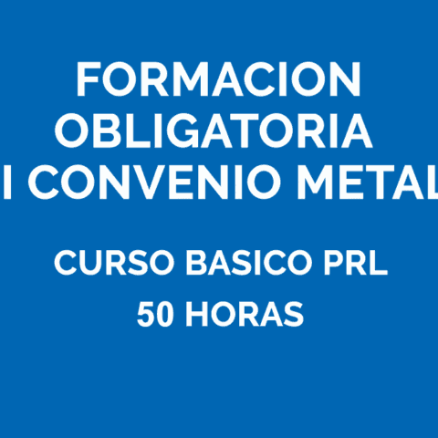 Formaci&oacute;n obligatoria del metal - Curso b&aacute;sico de Prevenci&oacute;n 50h